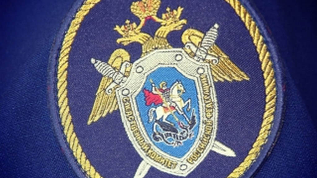 Глава СК России дал ряд поручений по уголовному делу о смерти двухмесячного ребенка в Алтайском крае Фото №1
