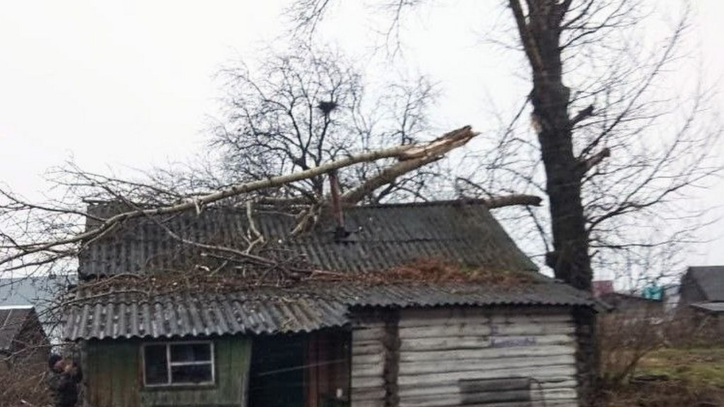 Фото: телеграм-канал Александр Пластеев