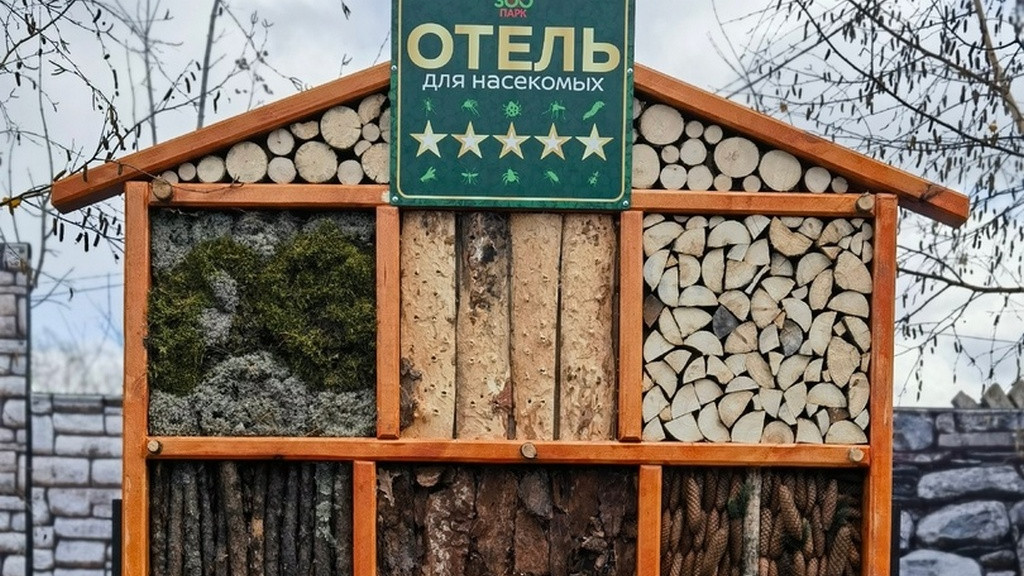 В барнаульском зоопарке открыли пятизвездочный отель для насекомых Фото №1