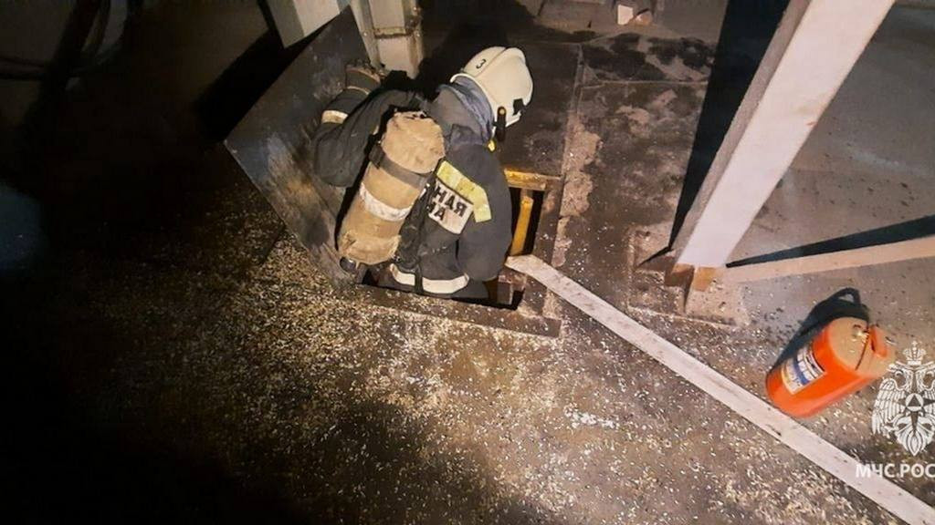 Фото: ГУ МЧС России по Алтайскому краю