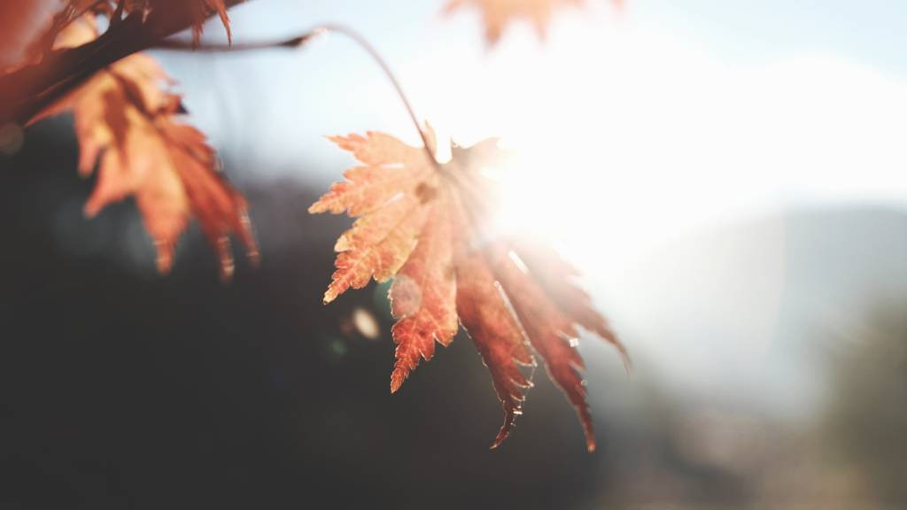 Фото: unsplash.com