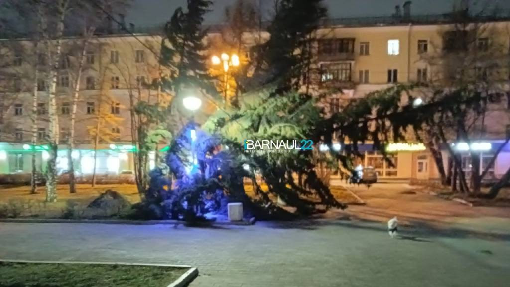 В Алтайском крае сильный ветер повалил деревья и разбил машины Фото №4