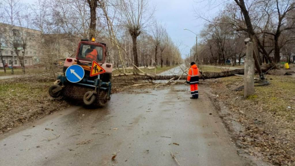 Фото: мэрия Барнаула