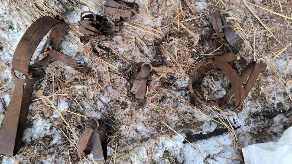 Фото: Сайлюгемский нацпарк