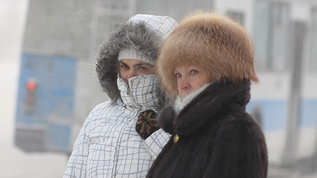 Фото: Олег Богданов