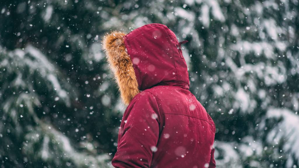 Фото: unsplash.com