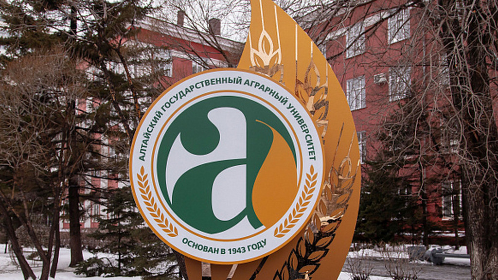 Фото: администрация Барнаула