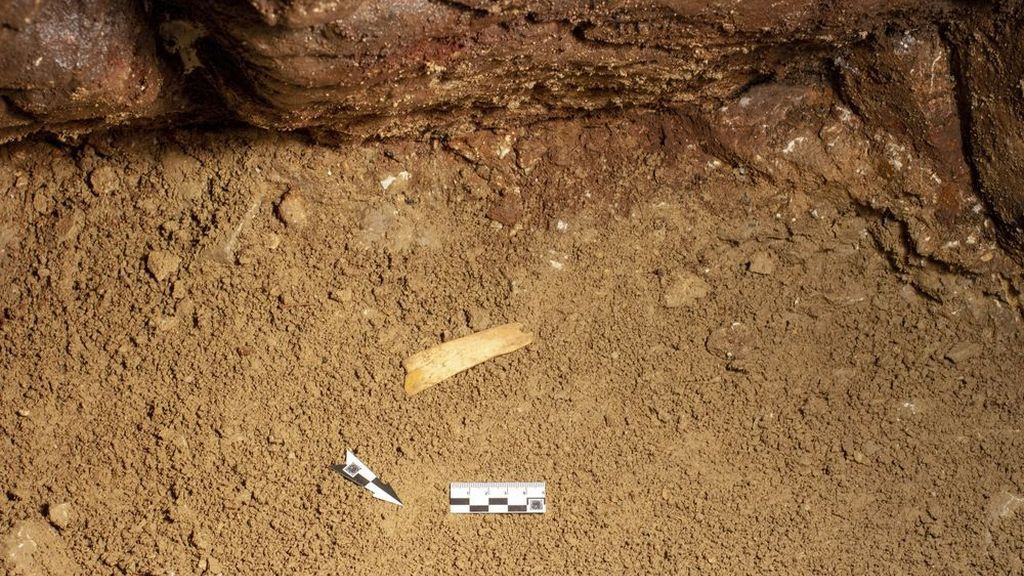 Фото: archaeology.nsc.ru