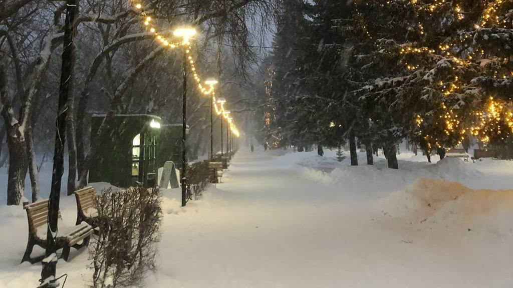 Фото: телеграм-канал парка