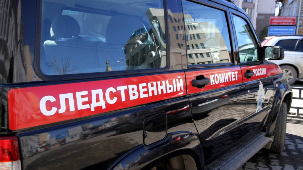 Следком Алтайского края начал проверку по факту избиения ребенка в барнаульском детском саду Фото №1