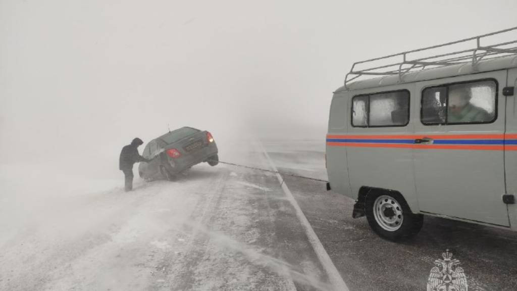 Фото: ГУ МЧС России по Алтайскому краю