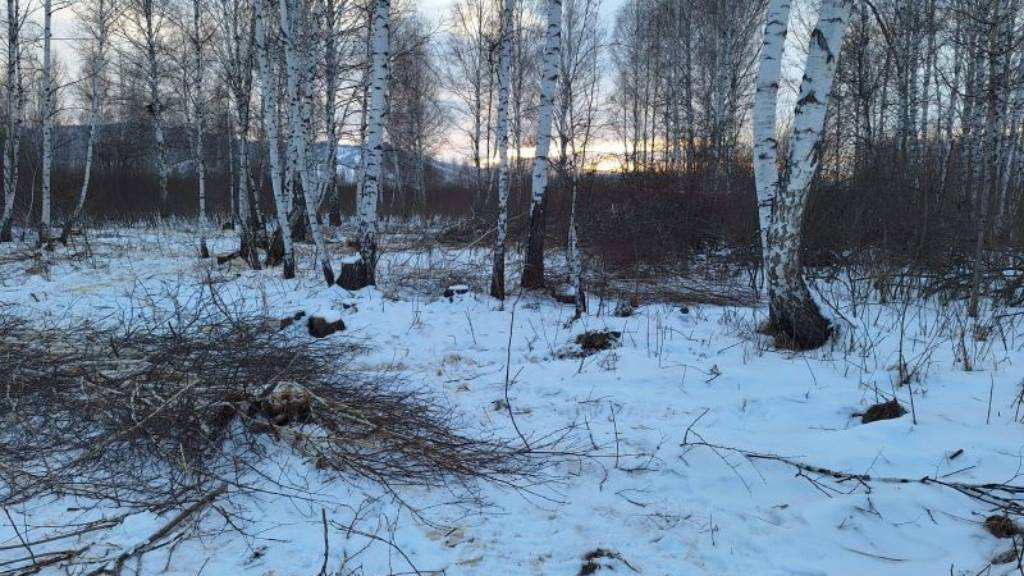 Фото: Минприроды Алтайского края
