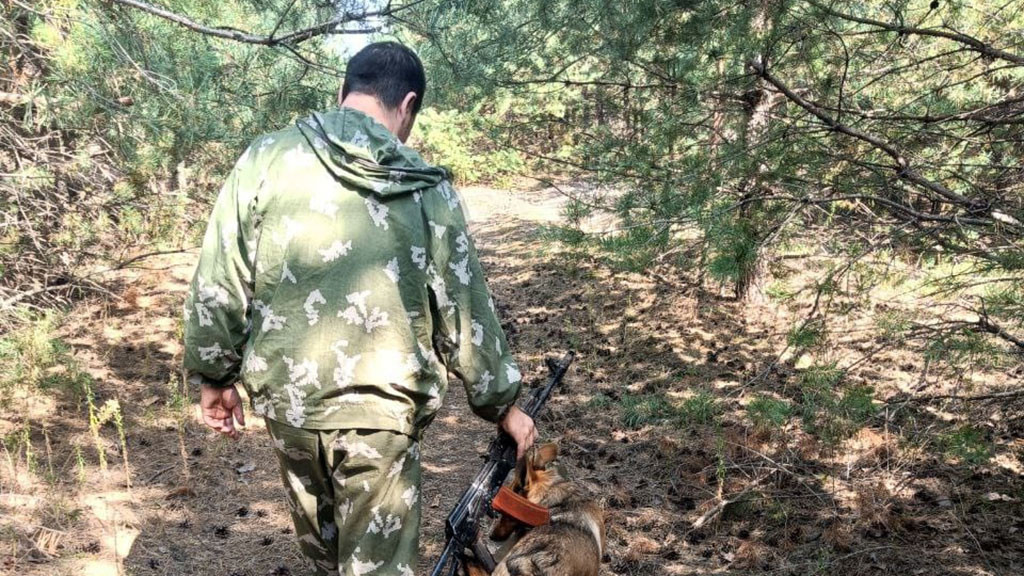 Как фронтовая собака Варя ценой собственной жизни спасла бойцов Фото №1