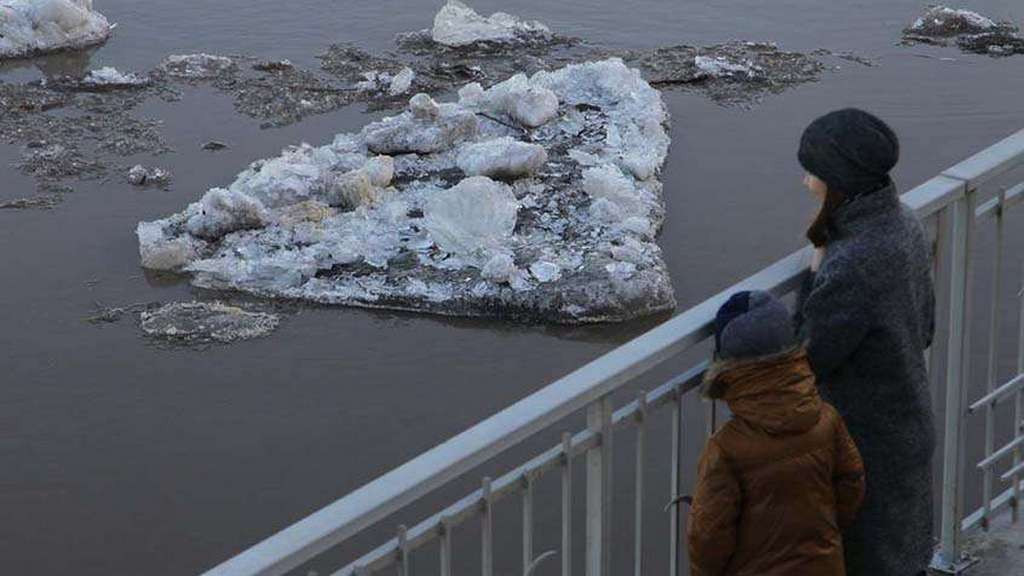 В Бийске ожидают ранний паводок Фото №1