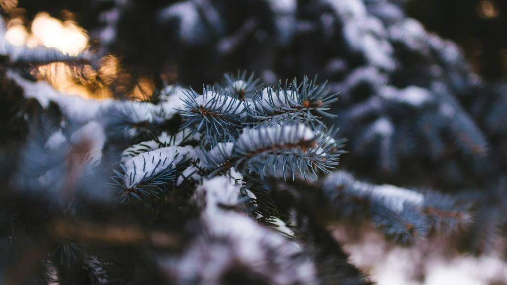Фото: unsplash.com