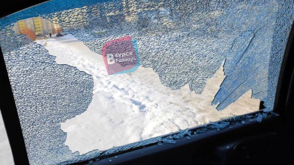 Фото: В курсе 22