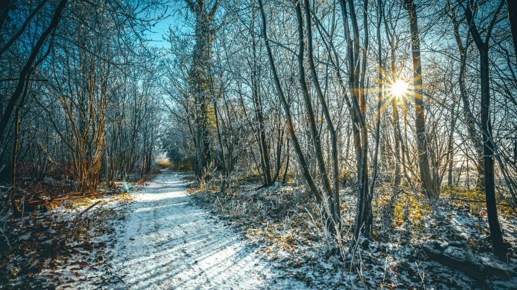 Фото: unsplash.com