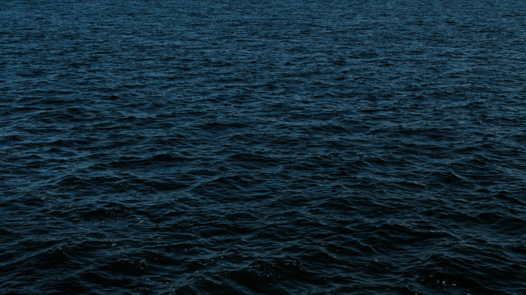 Фото: unsplash.com