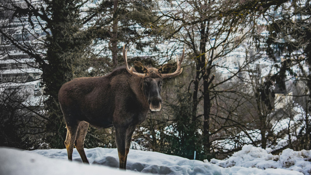 Фото: unsplash.com
