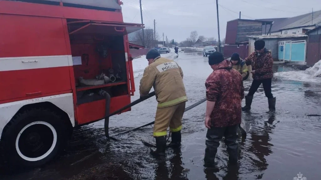 Фото: ГУ МЧС по Алтайскому краю