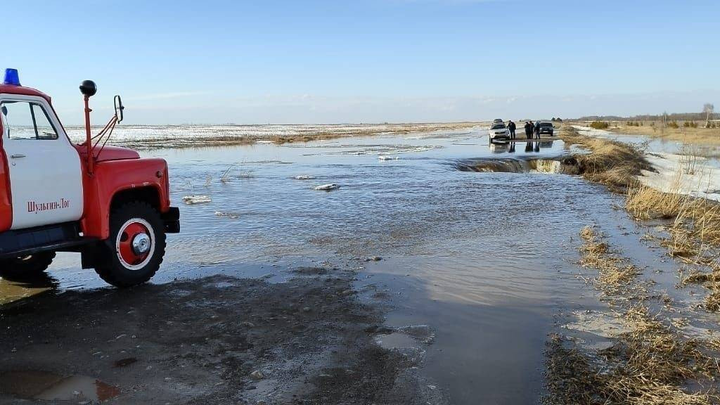 Фото: ГУ МЧС России по Алтайскому краю