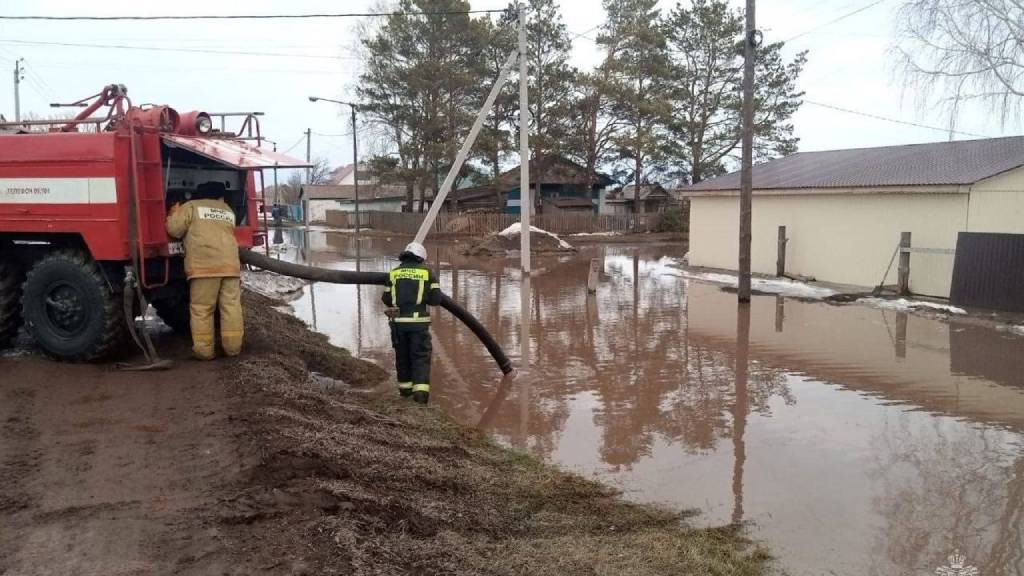Фото: ГУ МЧС России по Алтайскому краю
