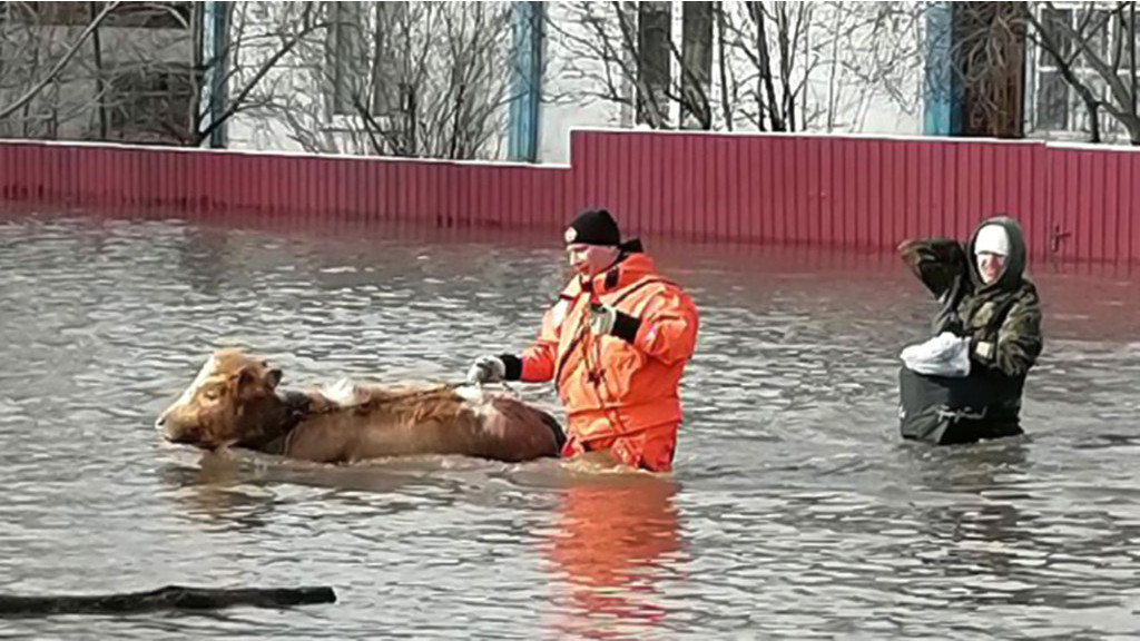 Фото: ГУ МЧС по Алтайскому краю