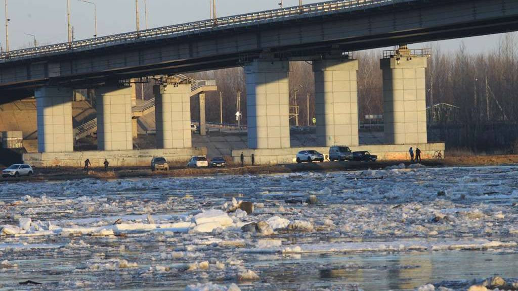 Уровень воды в Барнауле снизился на 20 см Фото №1