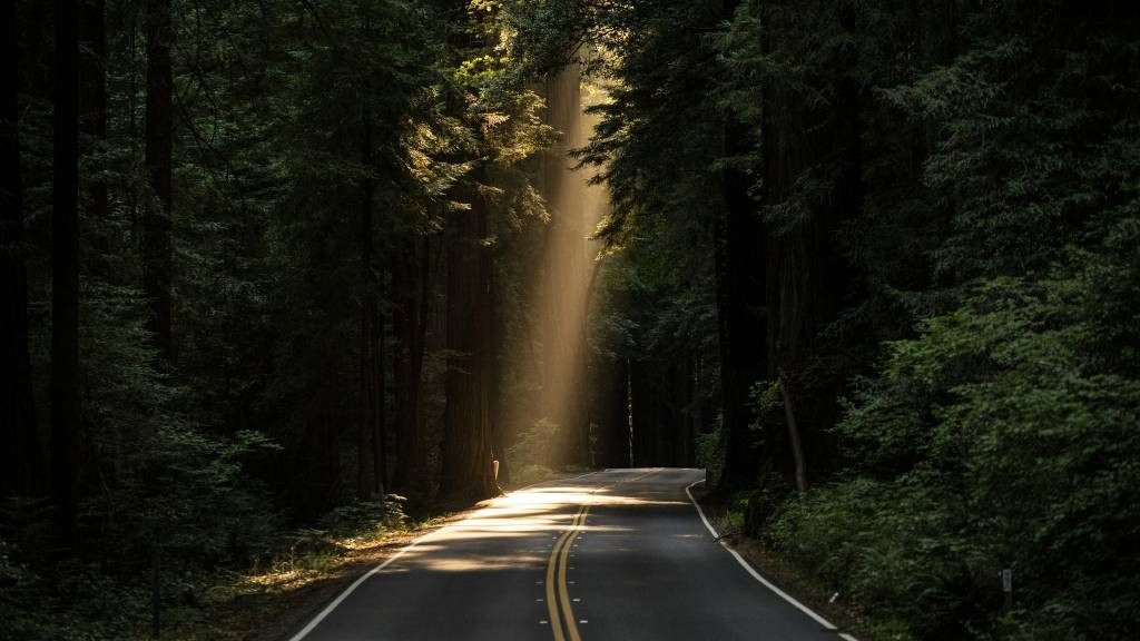 Фото: unsplash.com