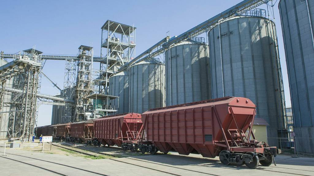 Фото: «Алтайский крестьянин»