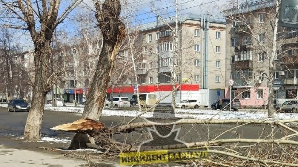 Фото: Инцидент Барнаул