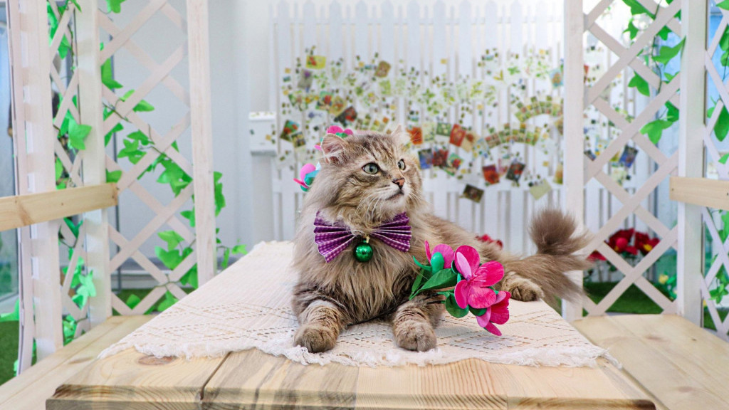 Фото: Алтайский краеведческий музей