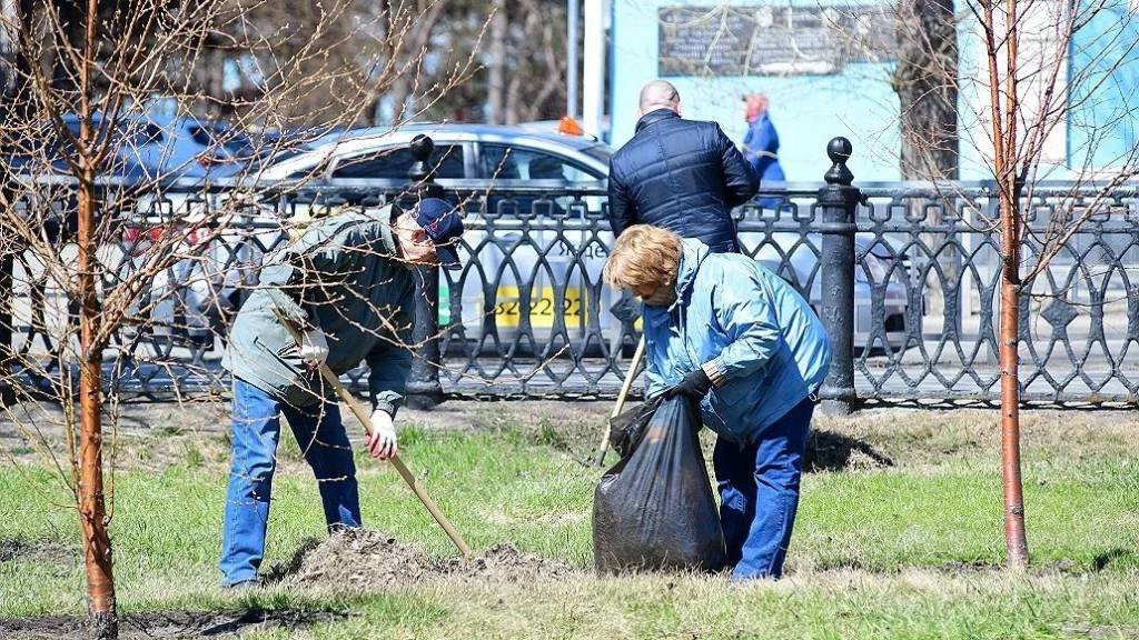 Порядка 40 тысяч жителей Барнаула приняли участие в общегородском субботнике Фото №1
