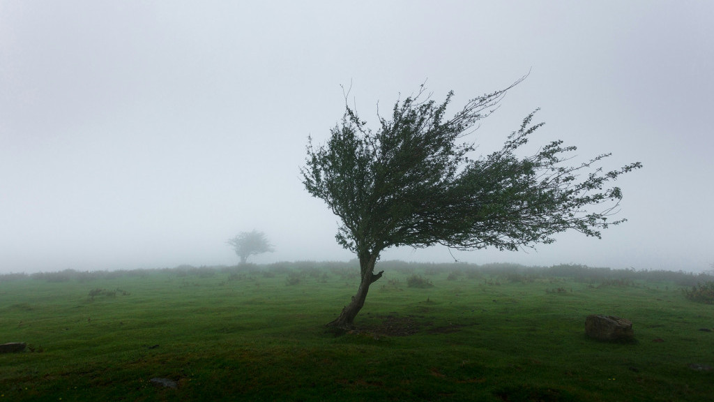 Фото: unsplash.com