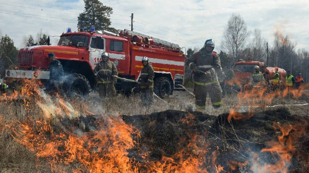 Фото: ГУ МЧС России по АК
