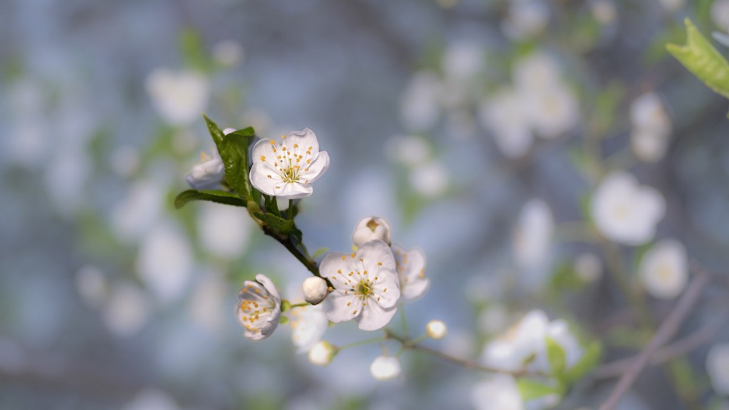 Фото: unsplash.com