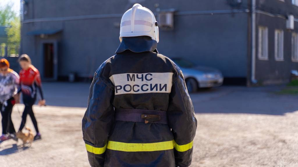 Фото: ГУ МЧС России по Алтайскому краю