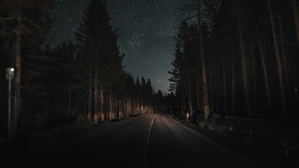 Фото: unsplash.com