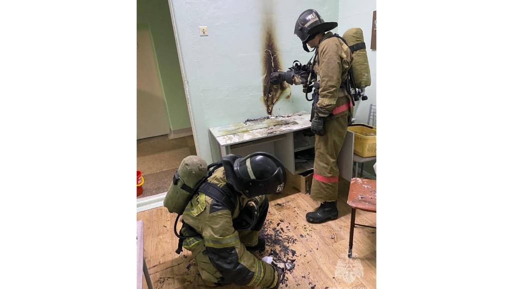 Фото: ГУ МЧС России по Алтайскому краю