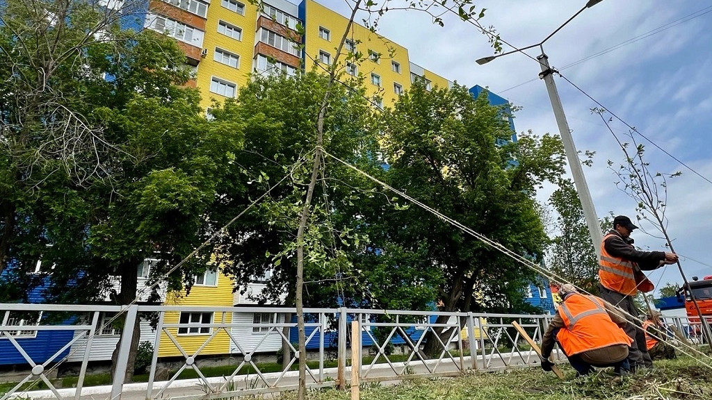 Фото: мэрия Рубцовска