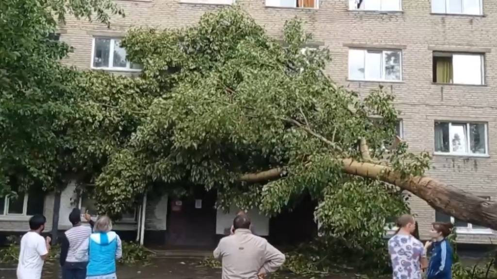Фото: кадр из видео