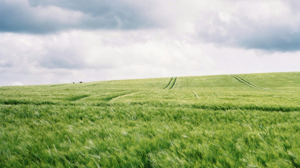 Фото: unsplash.com