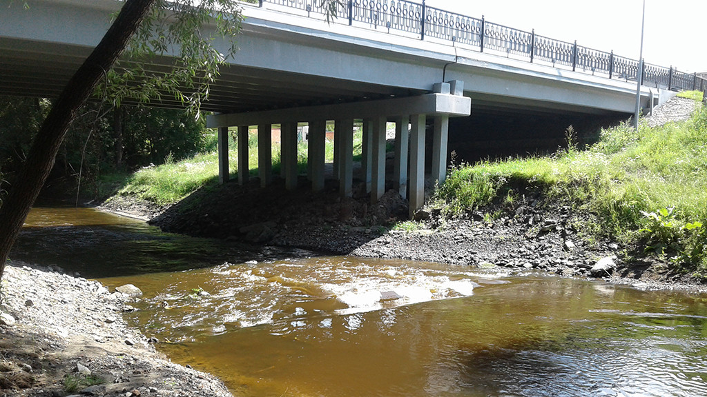 В Барнаулке взяли пробы воды, чтобы узнать причину гибели рыбы Фото №1