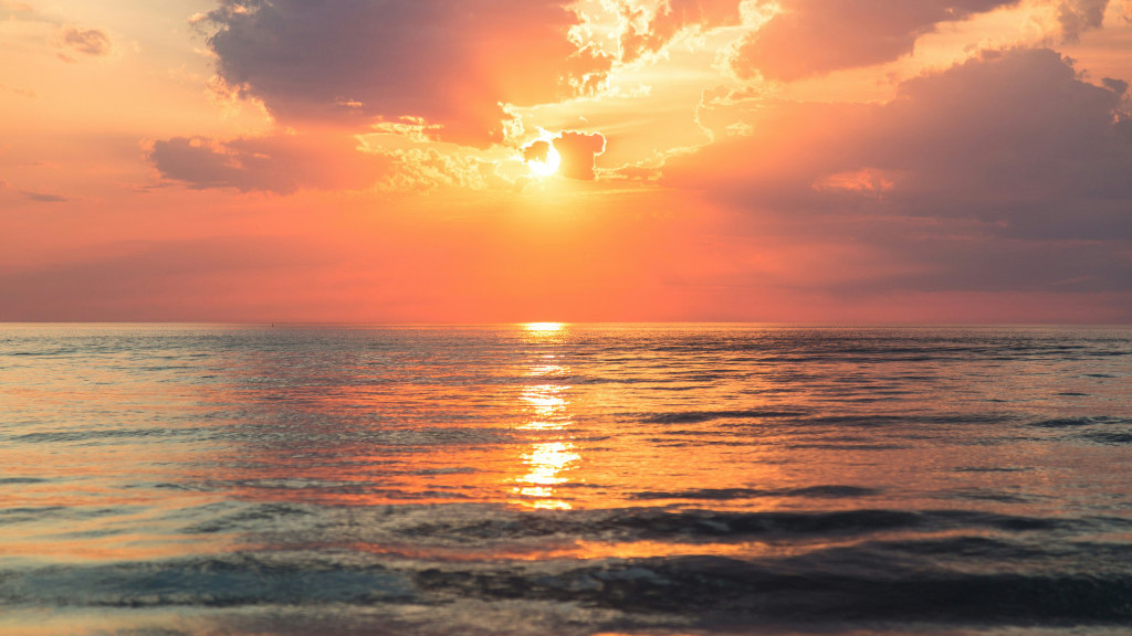 Фото: unsplash.com
