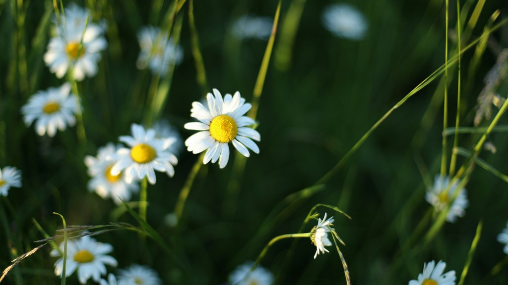 Фото: unsplash.com