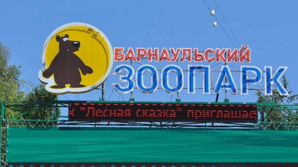 Фото: cdn.er.ru