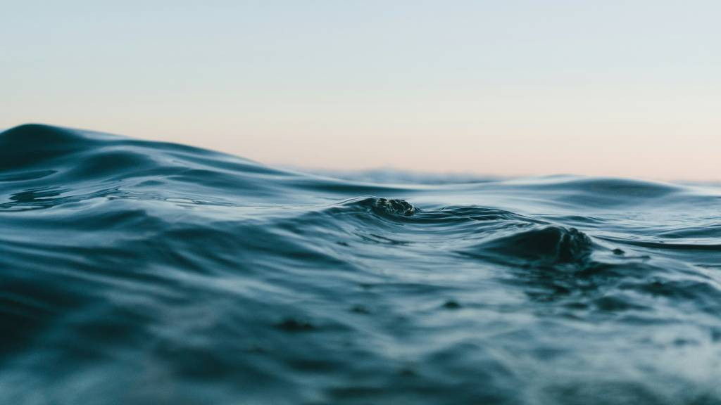 Фото: unsplash.com