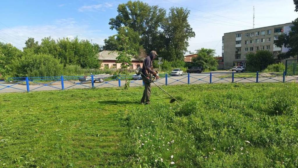 Фото: мэрия Барнаула