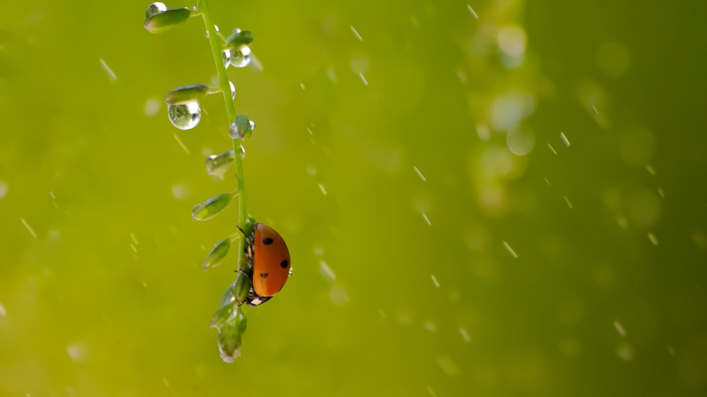 Фото: unsplash.com
