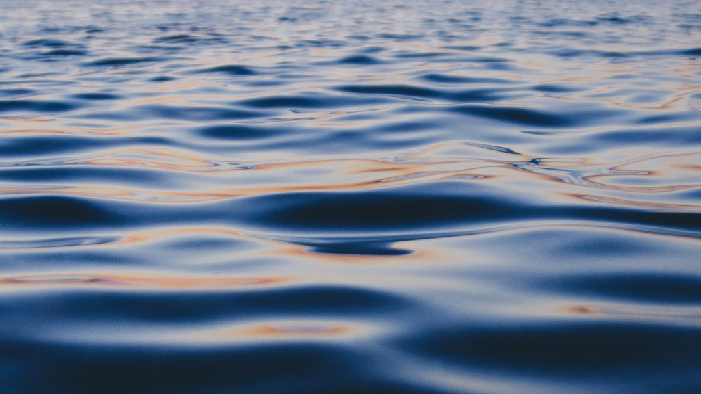 Фото: unsplash.com